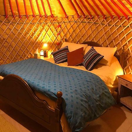 Mcclure Yurt At Carrigeen Glamping Kilkenny Zewnętrze zdjęcie