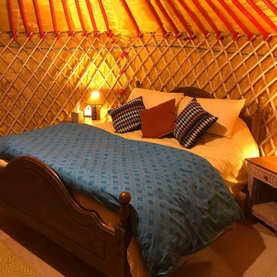 Mcclure Yurt At Carrigeen Glamping Kilkenny Zewnętrze zdjęcie